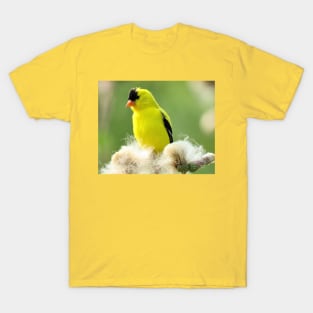 American Goldfinch and Thistle No.3 T-Shirt